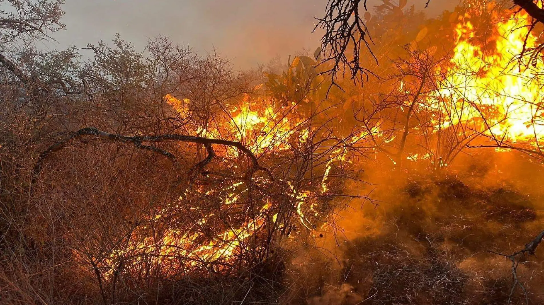 INCENDIO LUNES 8 ABRIL DOS